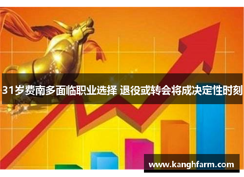 31岁费南多面临职业选择 退役或转会将成决定性时刻