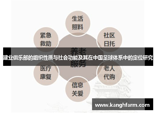 建业俱乐部的组织性质与社会功能及其在中国足球体系中的定位研究 建业俱乐部的组织性质与社会功能及其在中国足球体系中的定位研究